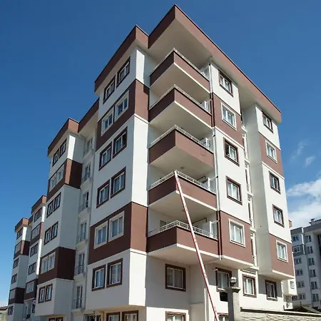 公寓式酒店 Leena *