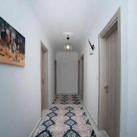 Leena ترابزون